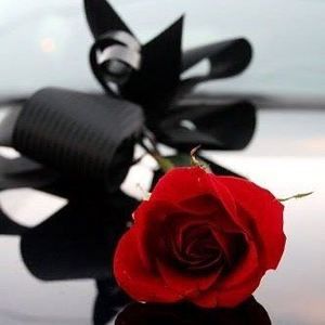 Meet your Posher, Jeffrey